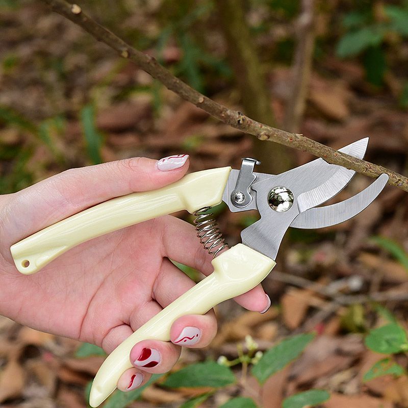 Labor‑Saving Garden Pruning Sh - Florist Supply Bulk ulasan dan harga